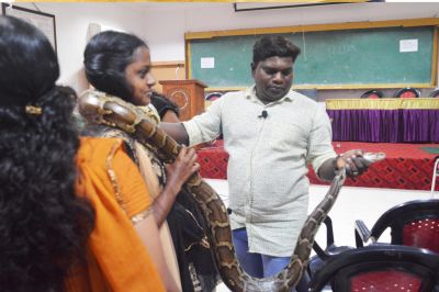 Snake awareness