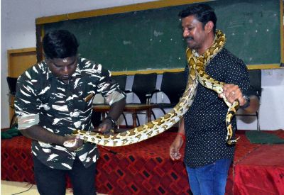 Snake awareness